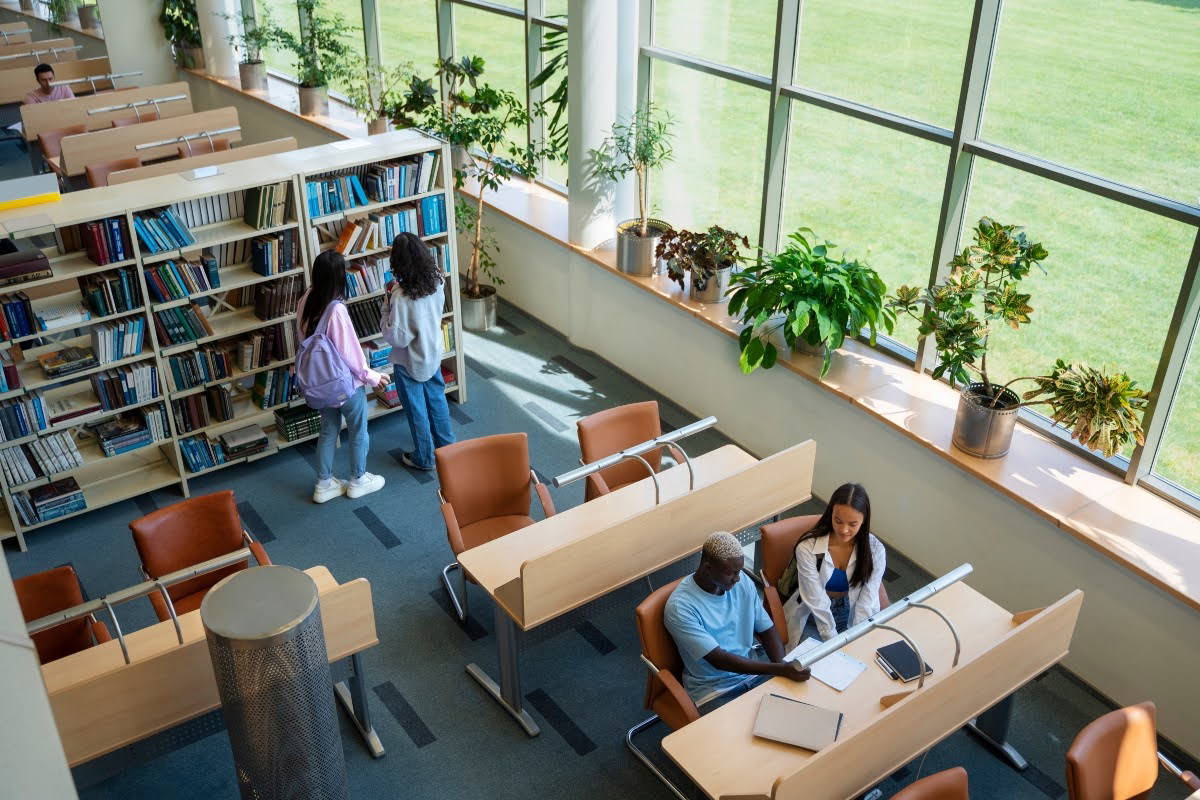 Student studying at the campus library.