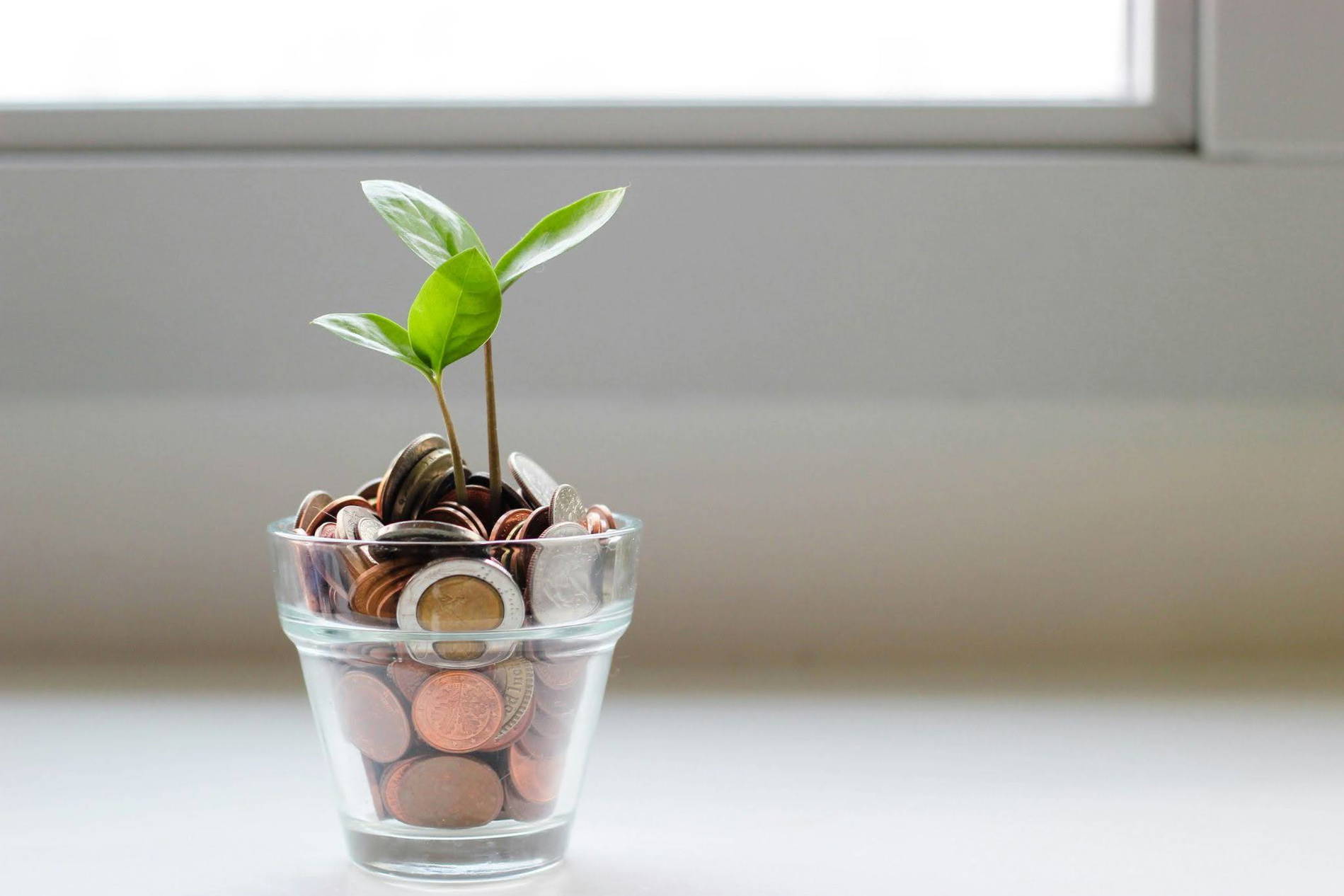 Financial aid for online college.